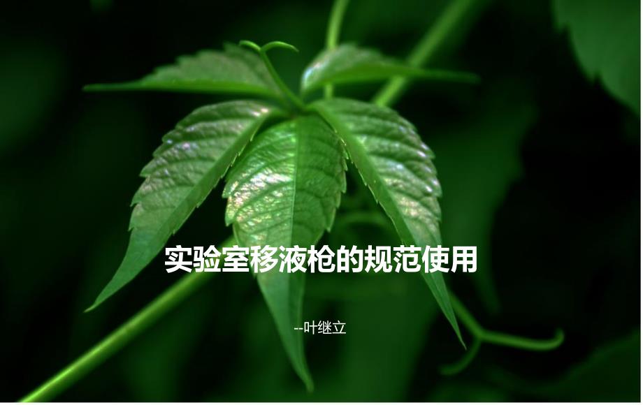 实验室各类移液枪的规范使用--叶继立_第1页