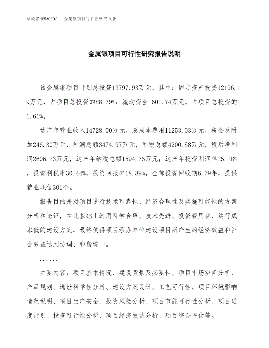 金属银项目可行性研究报告[参考范文].docx_第2页