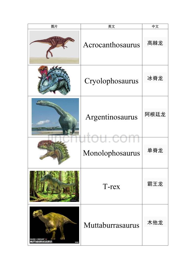 恐龙大集合 图文并茂_第1页