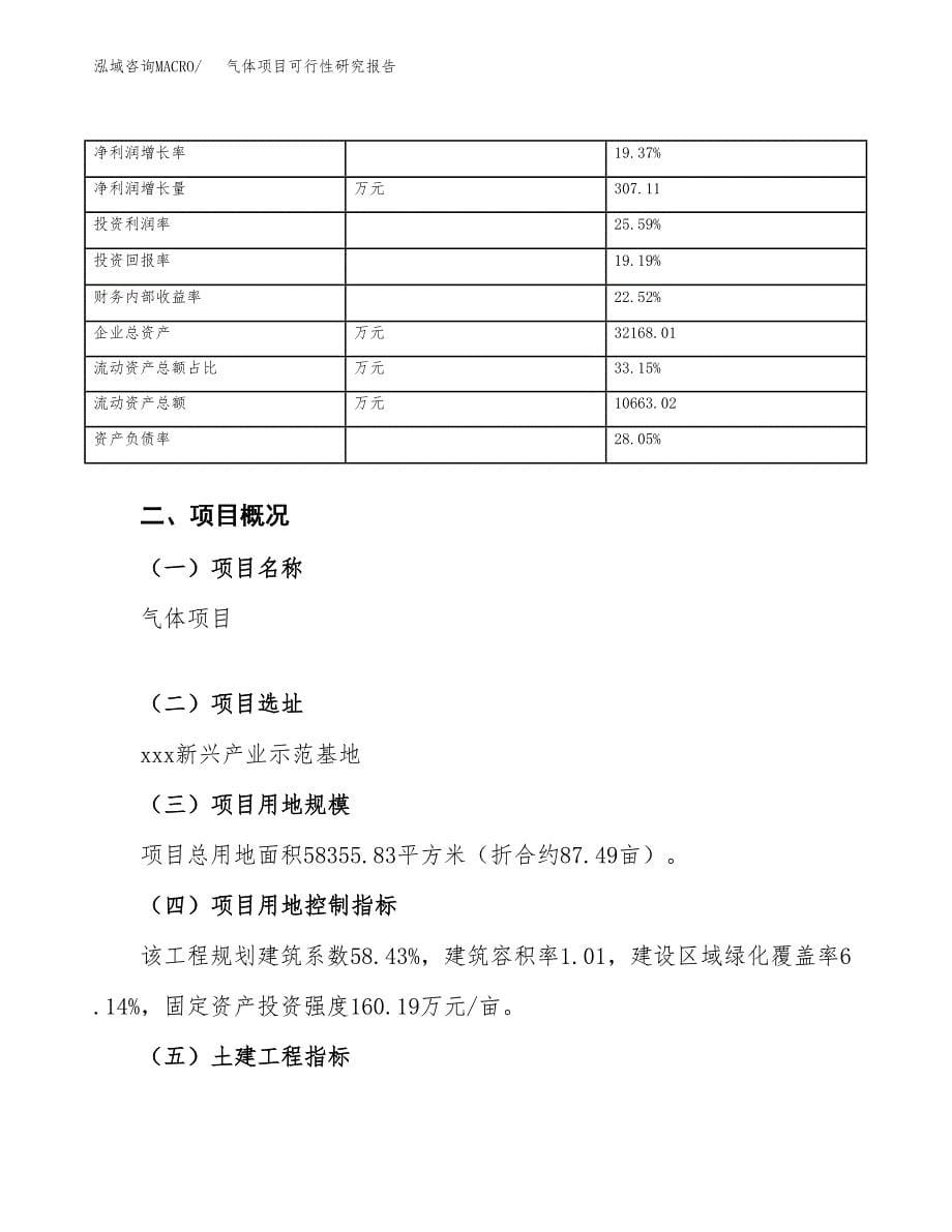 气体项目可行性研究报告_范文.docx_第5页