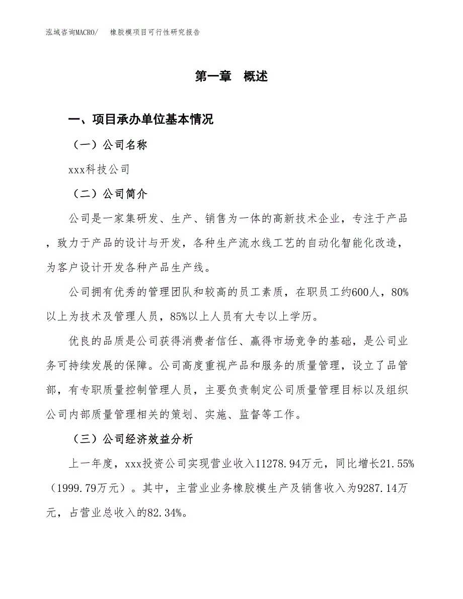 橡胶模项目可行性研究报告_范文.docx_第3页