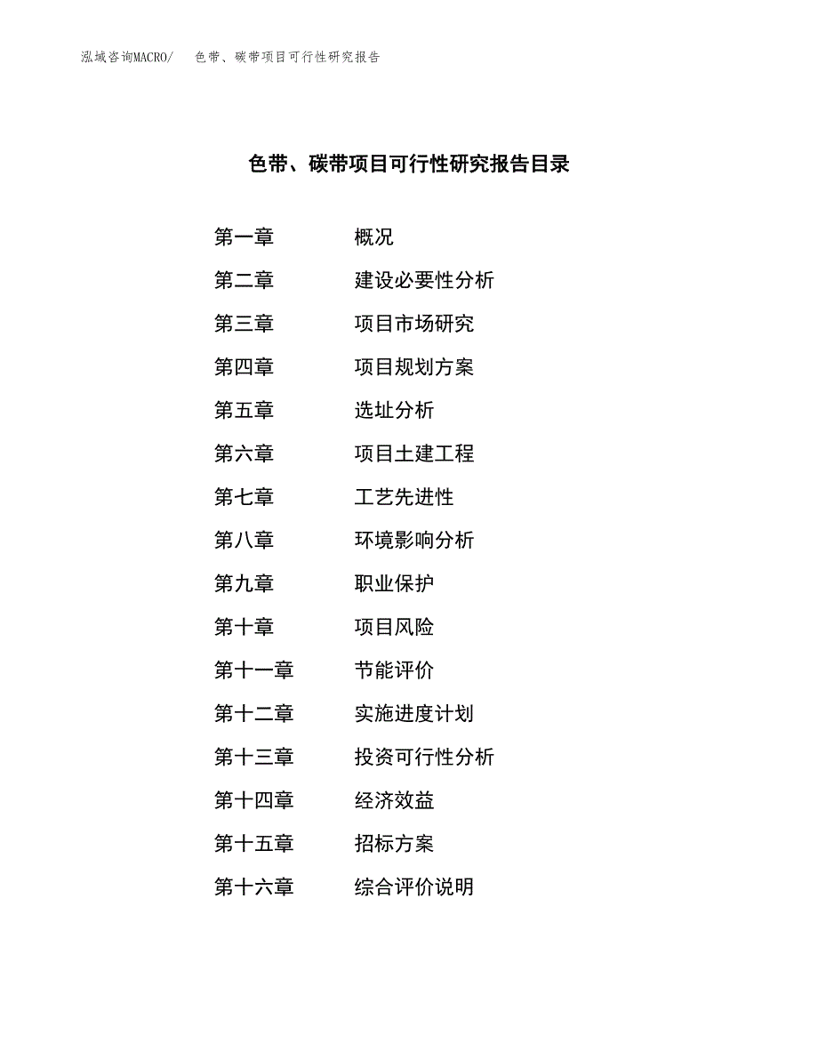 色带、碳带项目可行性研究报告_范文.docx_第2页