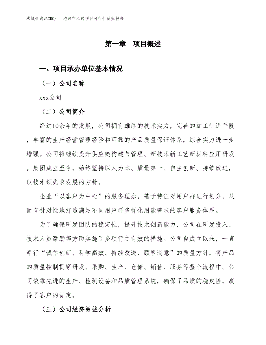 泡沫空心砖项目可行性研究报告_范文.docx_第3页