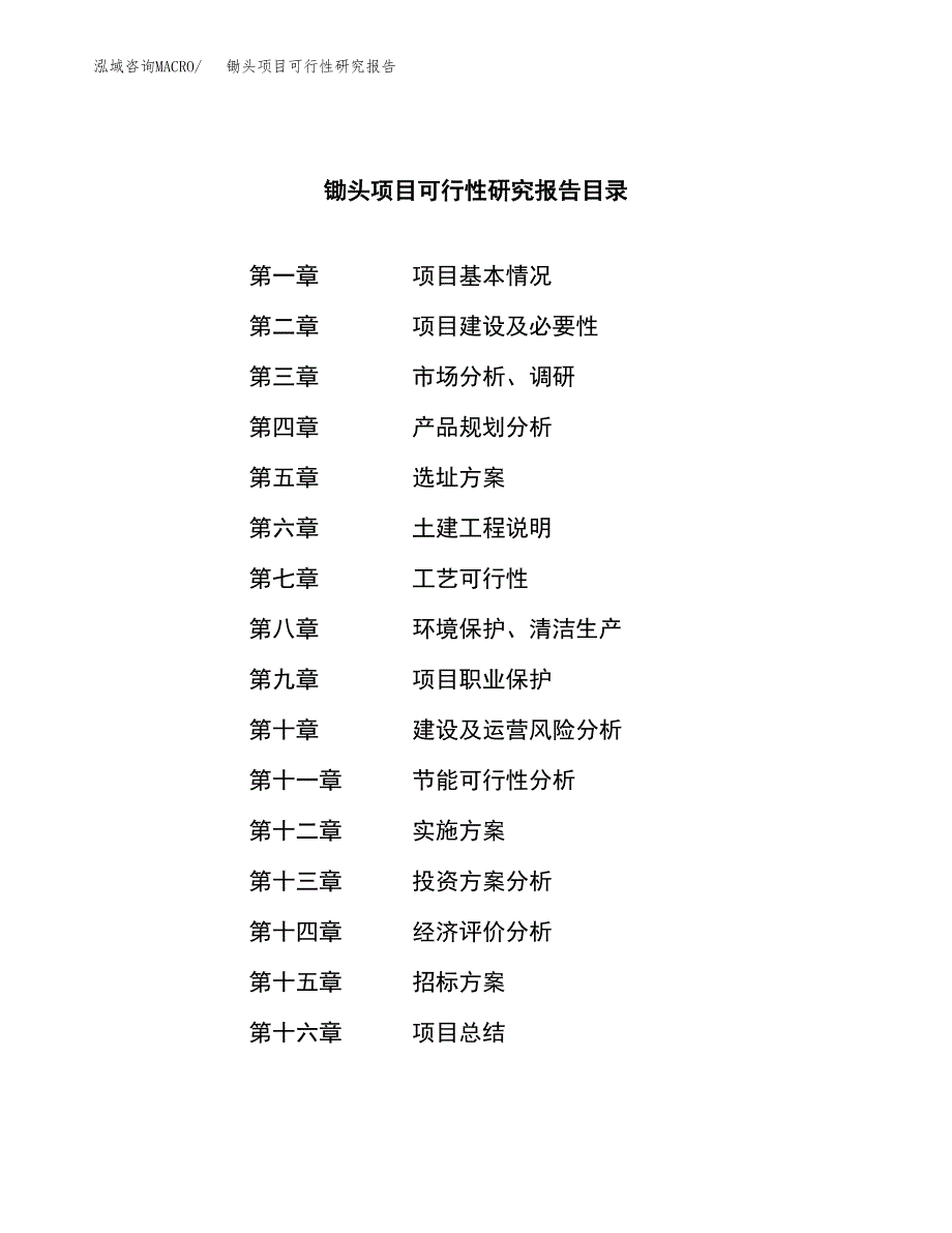 锄头项目可行性研究报告_范文.docx_第2页