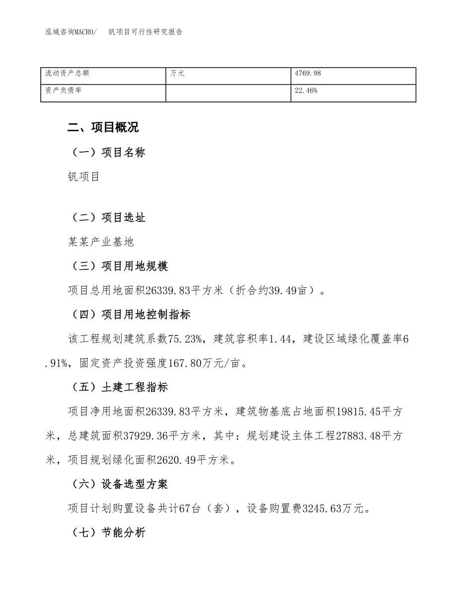 钒项目可行性研究报告_范文.docx_第5页