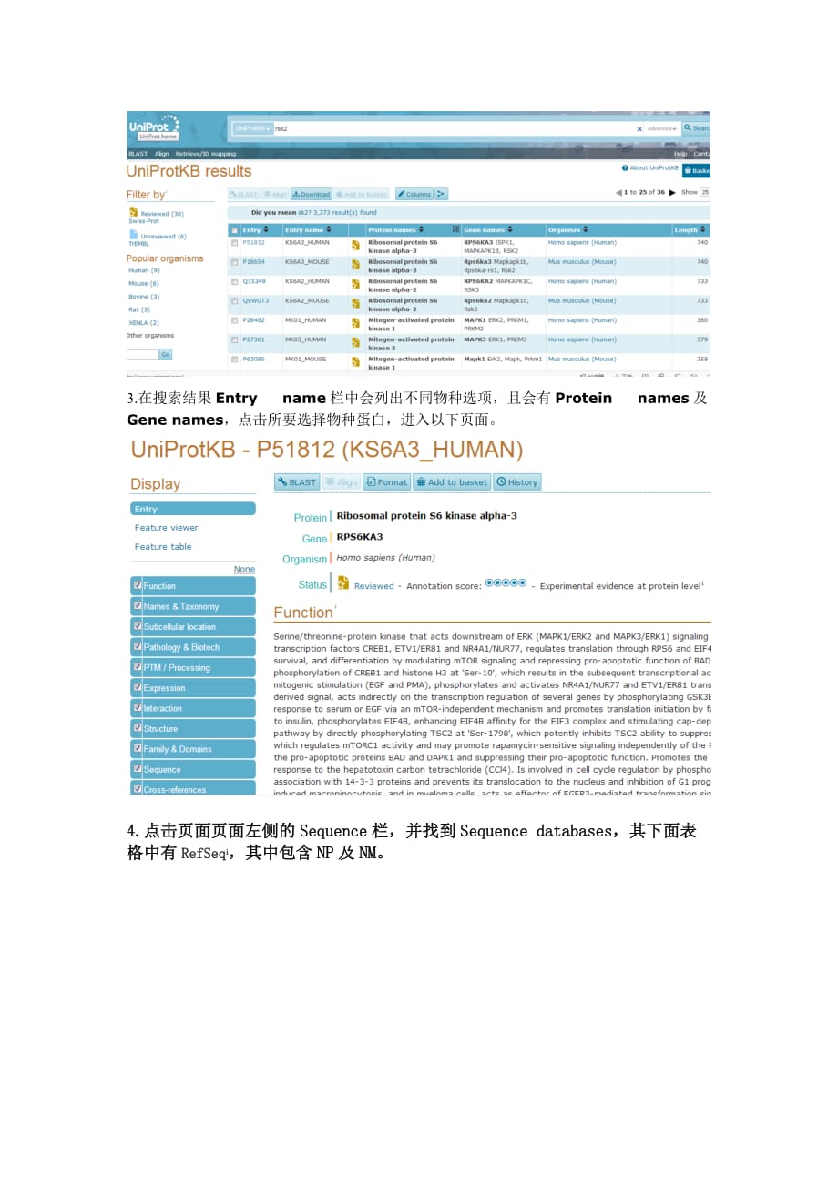 如何用ncbi和uniprot数据库查找目的蛋白的氨基酸序列或目的基因的碱基序列(mrna序列)_第4页