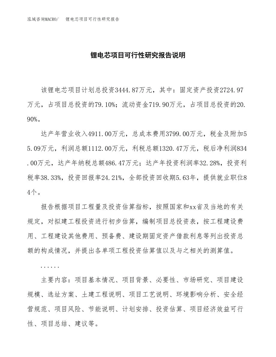 锂电芯项目可行性研究报告[参考范文].docx_第2页