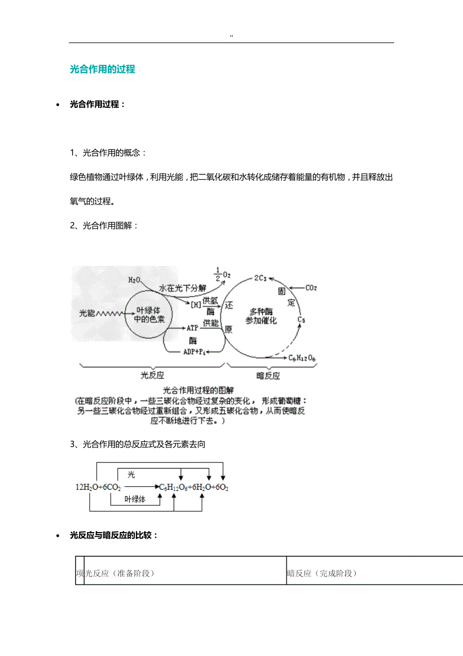 光合作用地详细分解过程_第1页