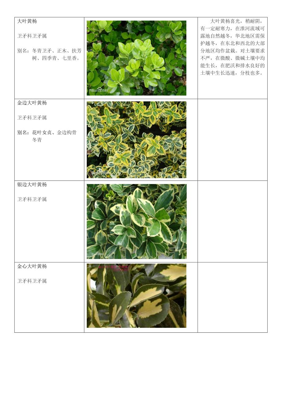 小区常用植物品种类别_第2页
