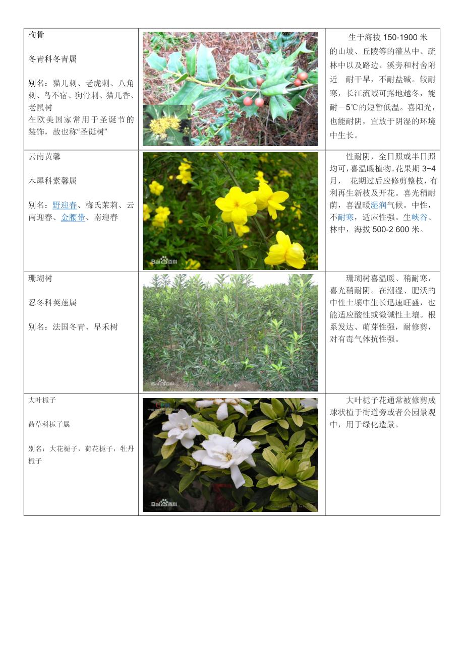 小区常用植物品种类别_第4页