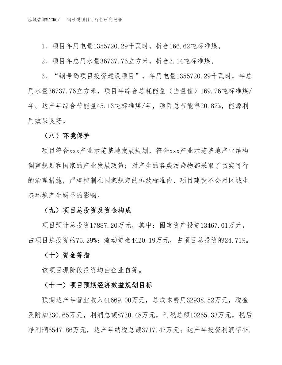 钢号码项目可行性研究报告[参考范文].docx_第5页