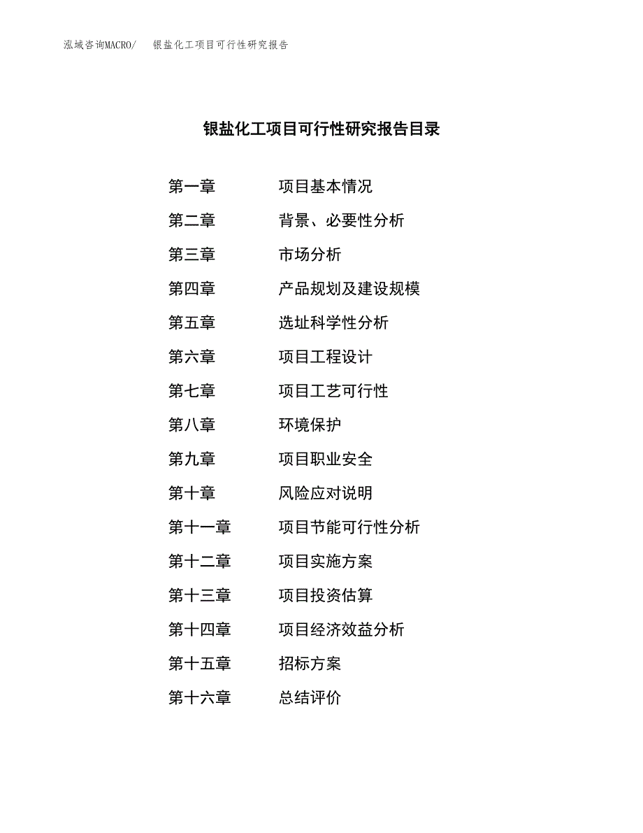 银盐化工项目可行性研究报告_范文.docx_第2页