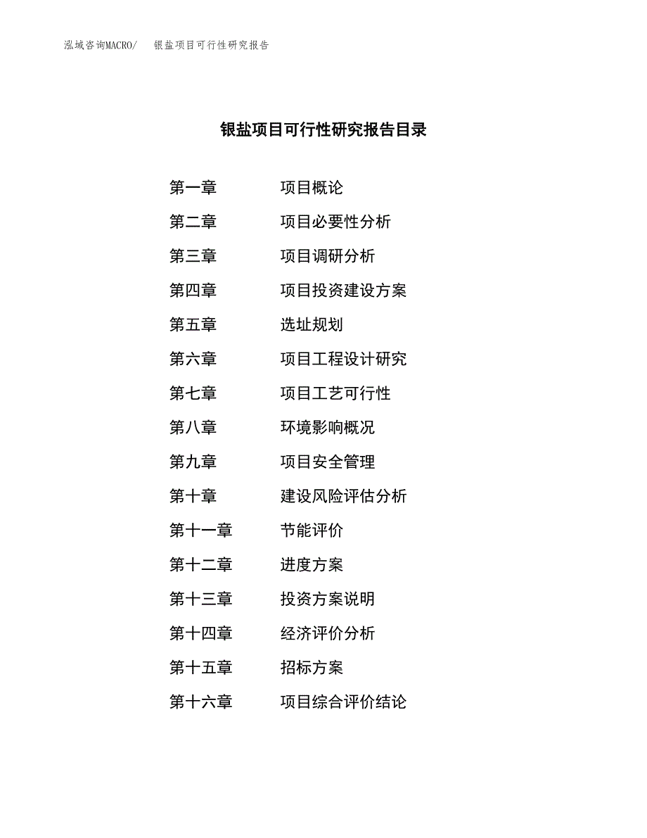 银盐项目可行性研究报告_范文.docx_第2页