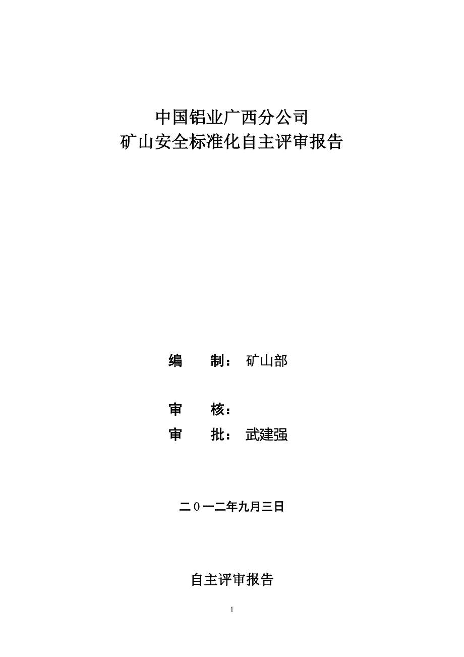 矿山安全标准化自评报告12资料_第1页