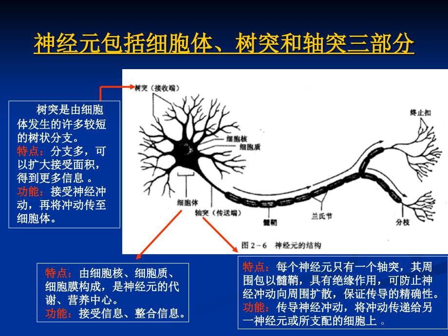 心理学(第二篇)_第4页