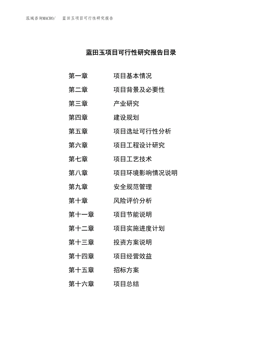 蓝田玉项目可行性研究报告_范文.docx_第2页