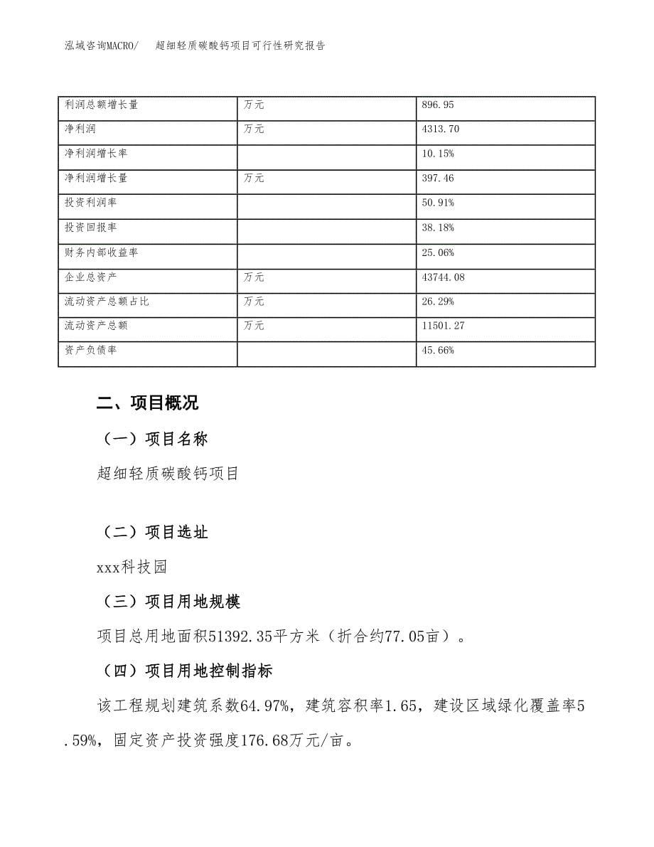 超细轻质碳酸钙项目可行性研究报告_范文.docx_第5页