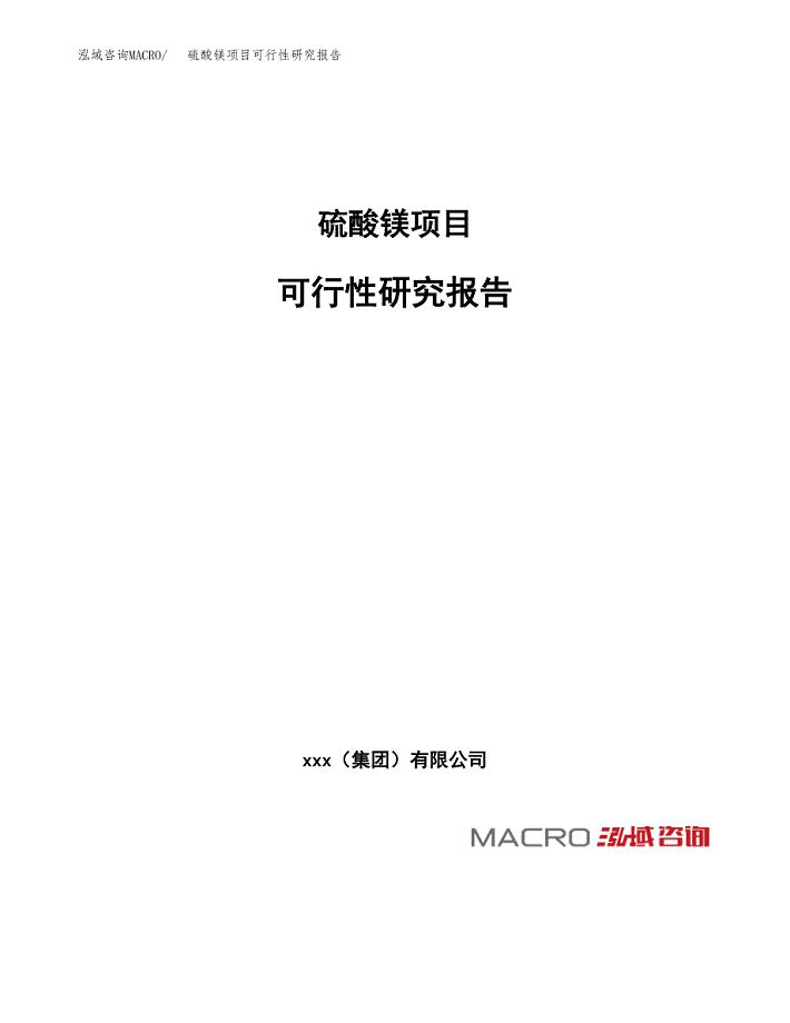 硫酸镁项目可行性研究报告_范文.docx