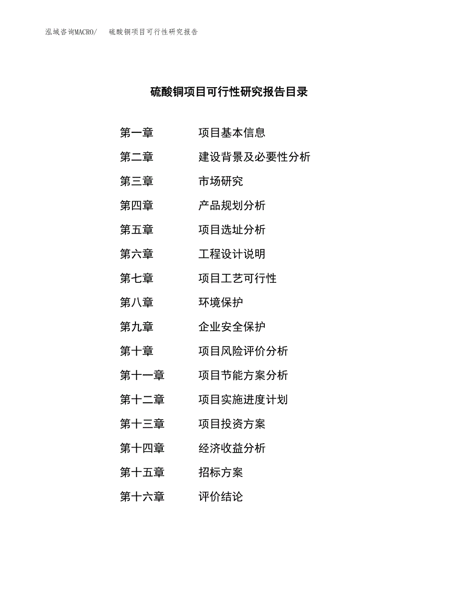 硫酸铜项目可行性研究报告_范文.docx_第2页