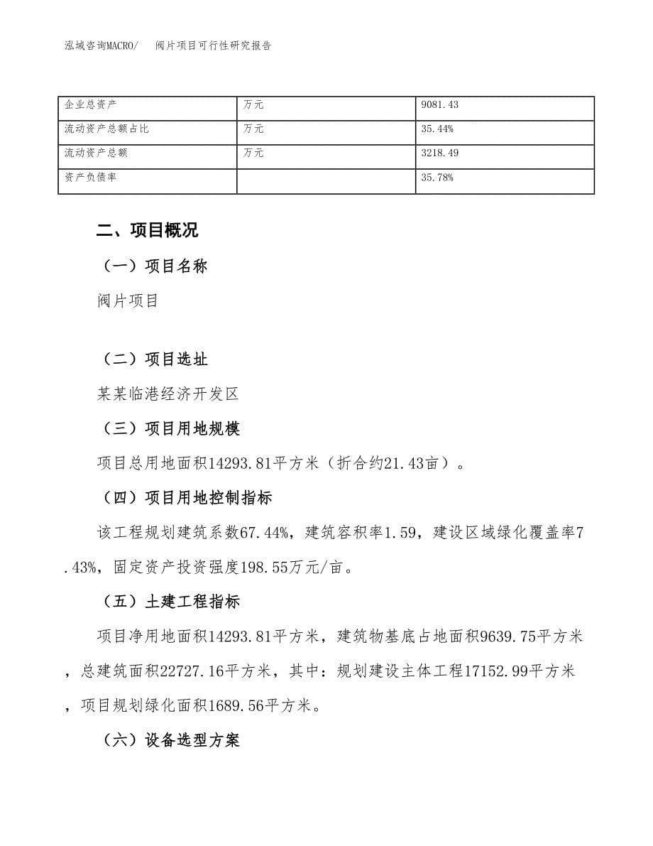 阀片项目可行性研究报告_范文.docx_第5页