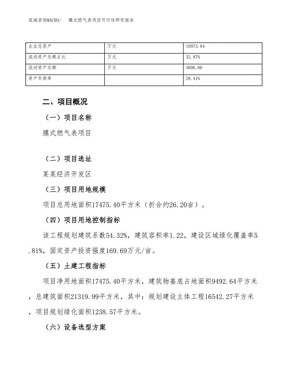 膜式燃气表项目可行性研究报告_范文.docx_第5页