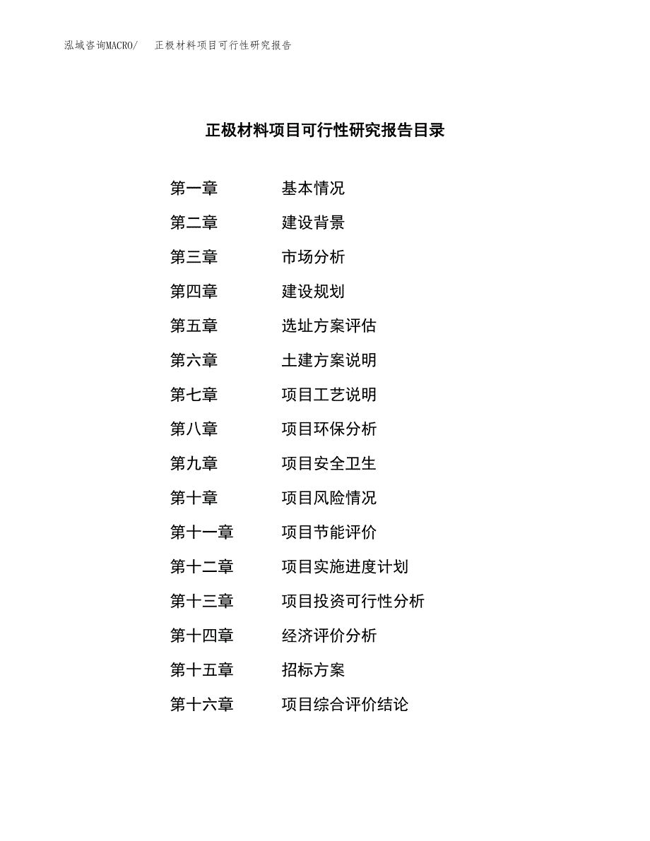 正极材料项目可行性研究报告_范文.docx_第2页