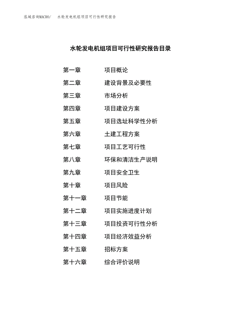 水轮发电机组项目可行性研究报告_范文.docx_第2页