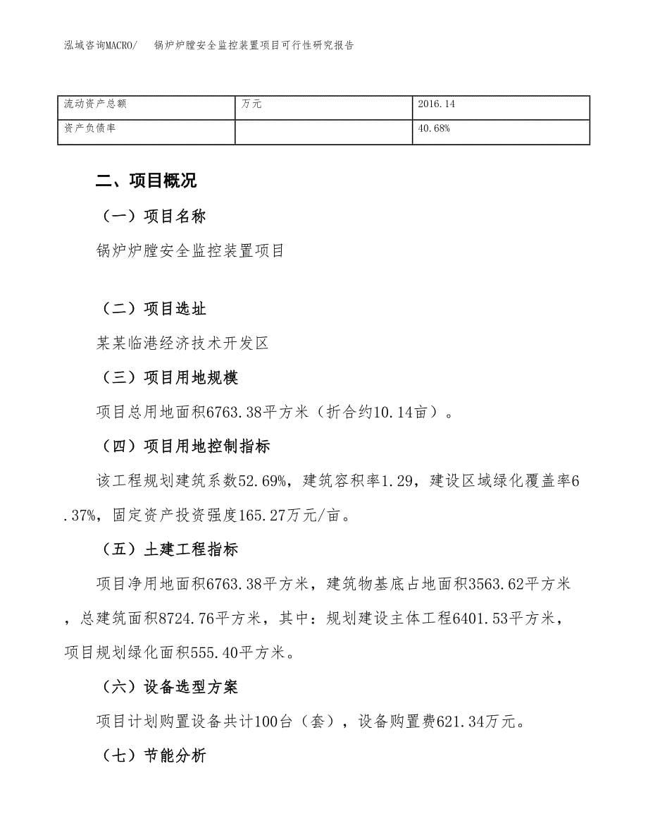 锅炉炉膛安全监控装置项目可行性研究报告_范文.docx_第5页