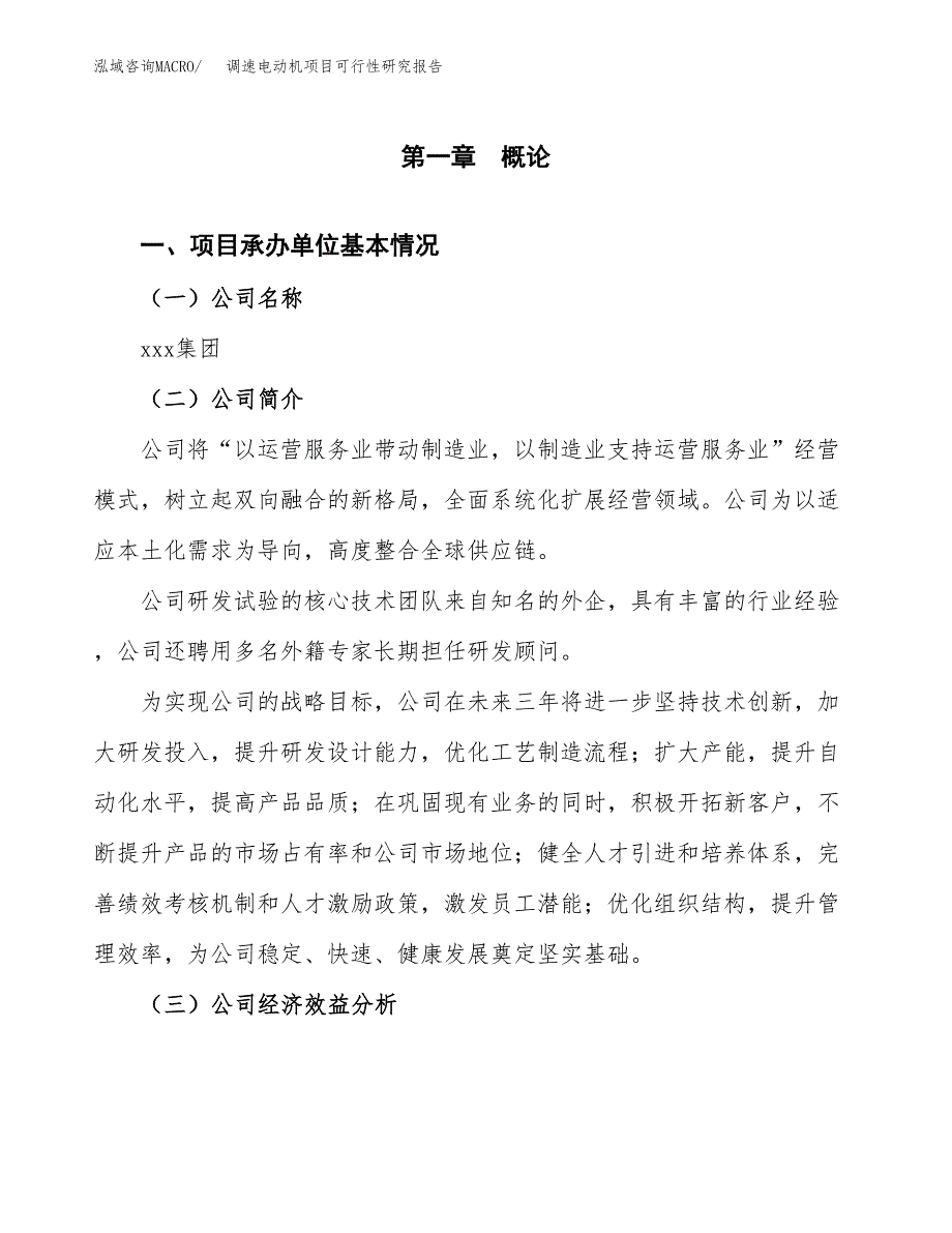 调速电动机项目可行性研究报告_范文.docx_第3页