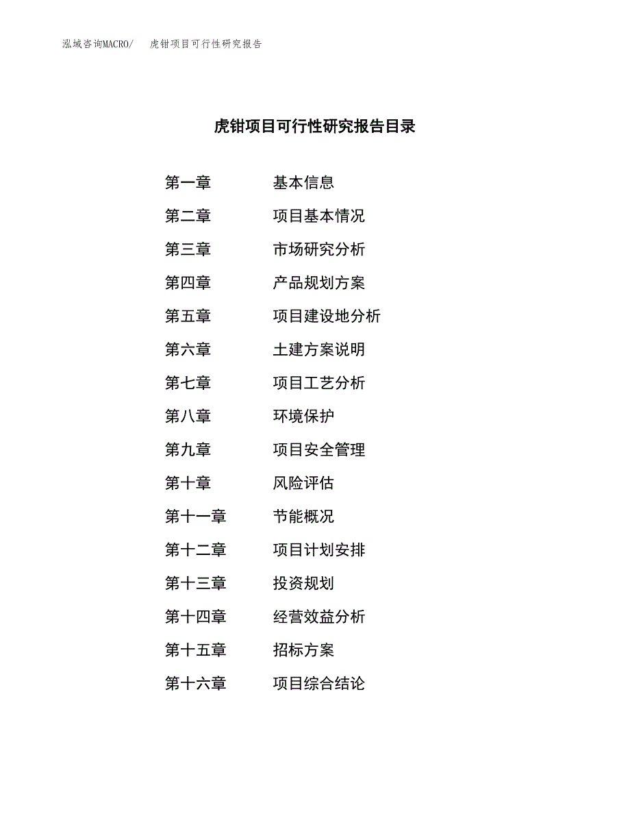 虎钳项目可行性研究报告_范文.docx_第2页