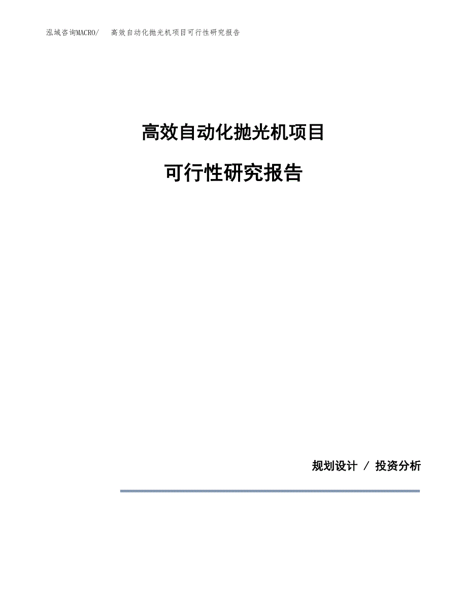 高效自动化抛光机项目可行性研究报告[参考范文].docx_第1页