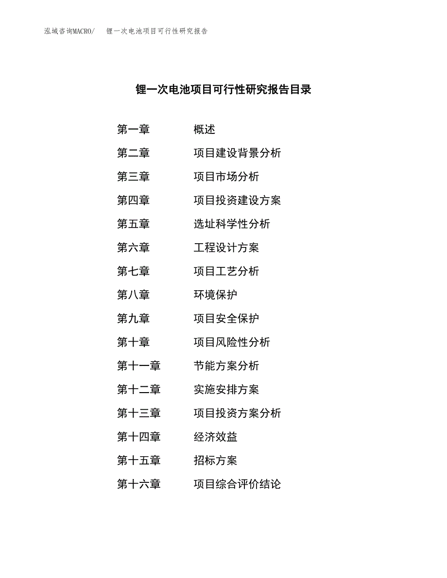 锂一次电池项目可行性研究报告_范文.docx_第2页