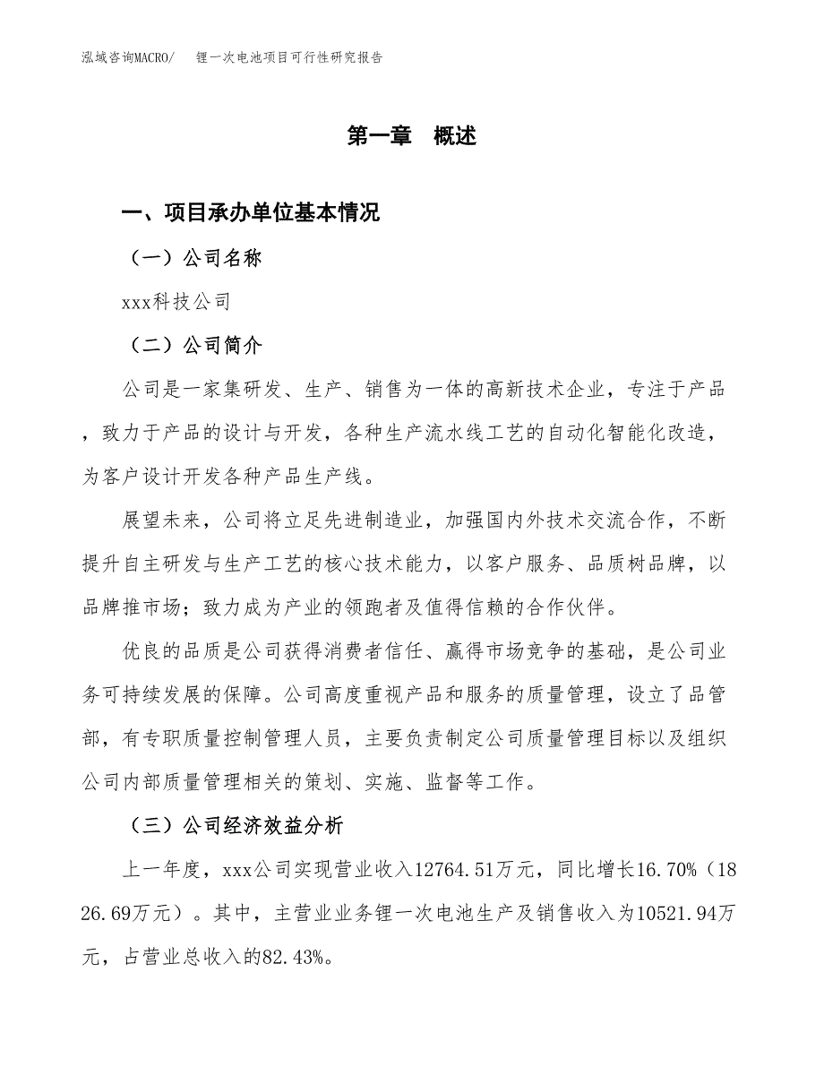 锂一次电池项目可行性研究报告_范文.docx_第3页