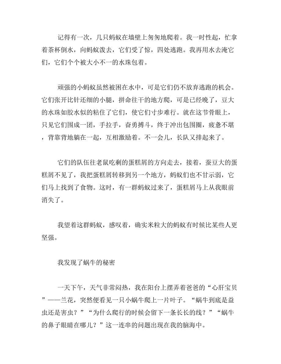 2019年我突然发现作文400字我我发现了什么作文400字范文_第5页