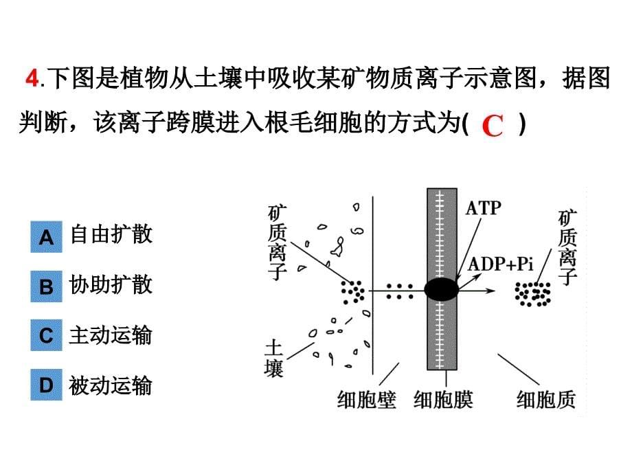 物质跨膜运输的方式及影响因素_第5页