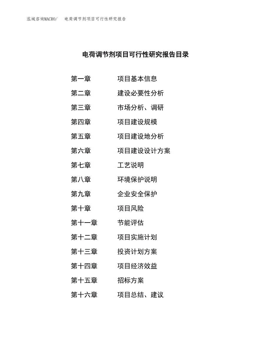 电荷调节剂项目可行性研究报告_范文.docx_第2页