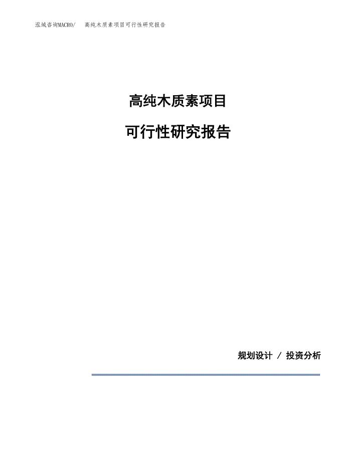 高纯木质素项目可行性研究报告[参考范文].docx