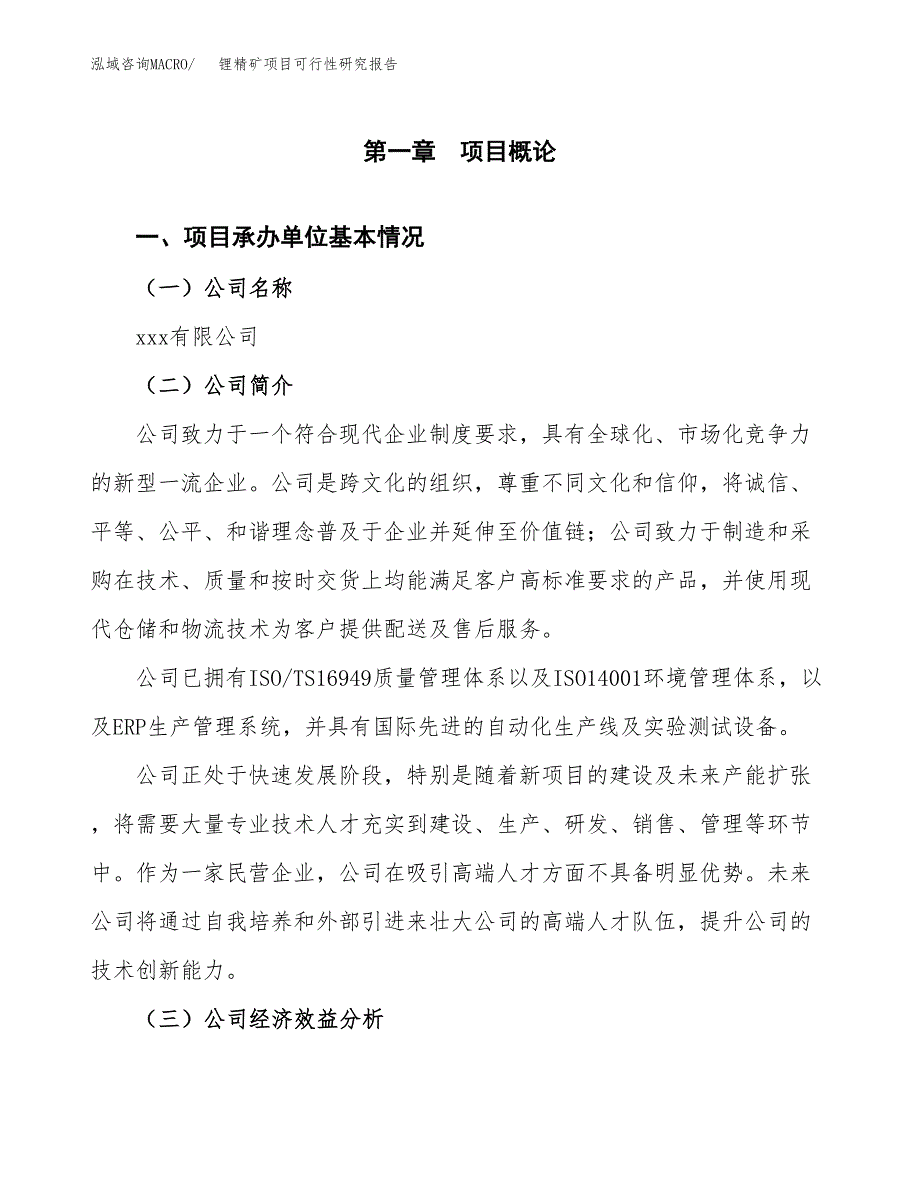 锂精矿项目可行性研究报告_范文.docx_第3页