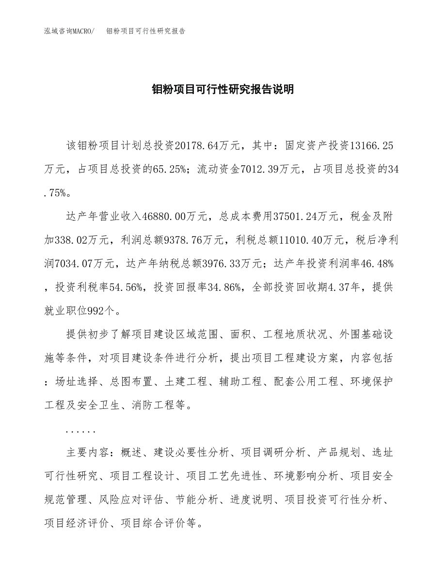 钼粉项目可行性研究报告[参考范文].docx_第2页