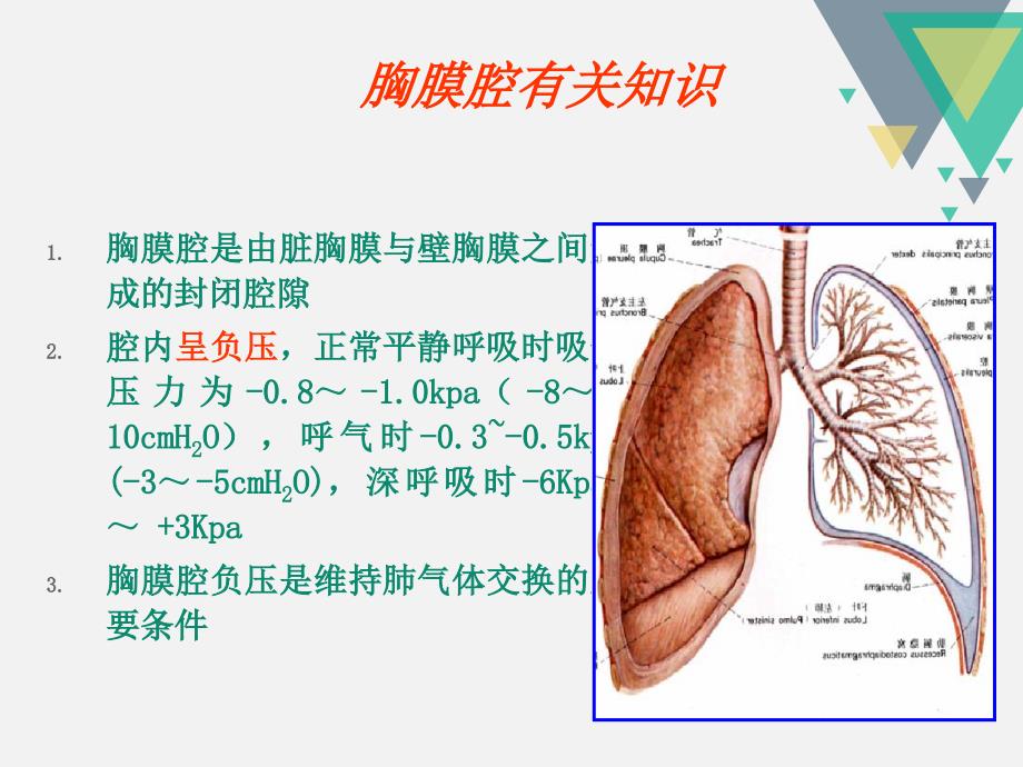 胸腔闭式引流管的护理.ppt(1)_第4页