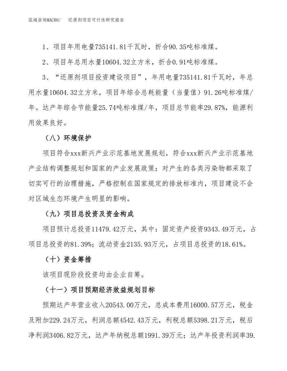 还原剂项目可行性研究报告[参考范文].docx_第5页