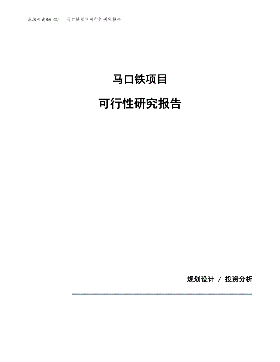 马口铁项目可行性研究报告[参考范文].docx_第1页