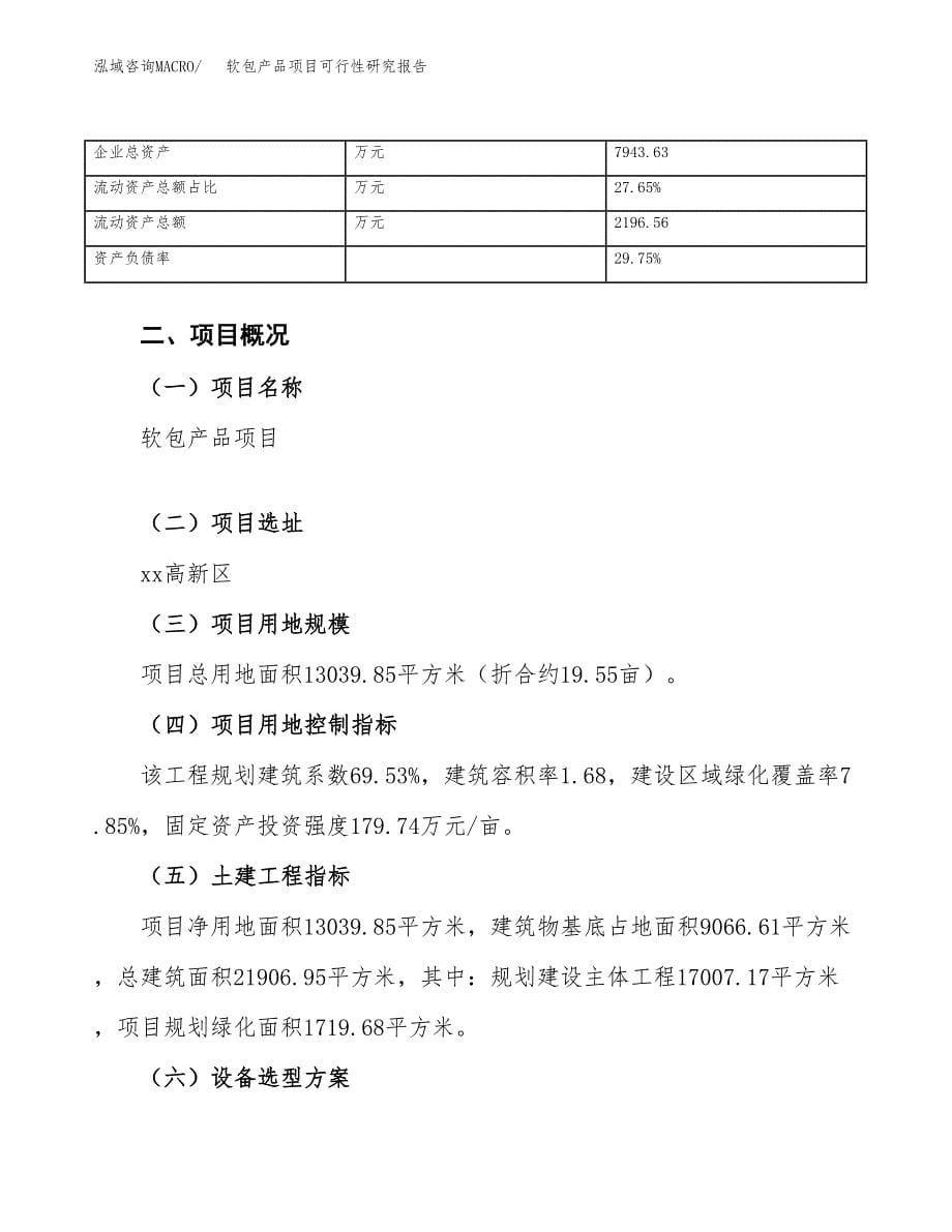 软包产品项目可行性研究报告_范文.docx_第5页