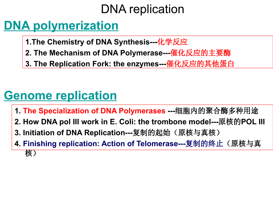 现代分子生物学之dna复制_第2页