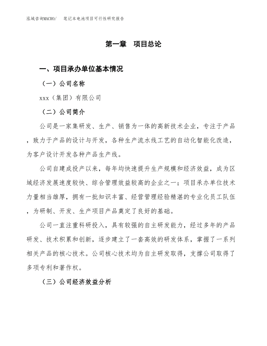 笔记本电池项目可行性研究报告_范文.docx_第3页