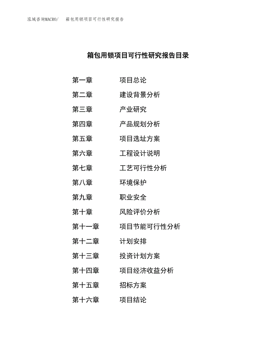 箱包用锁项目可行性研究报告_范文.docx_第2页