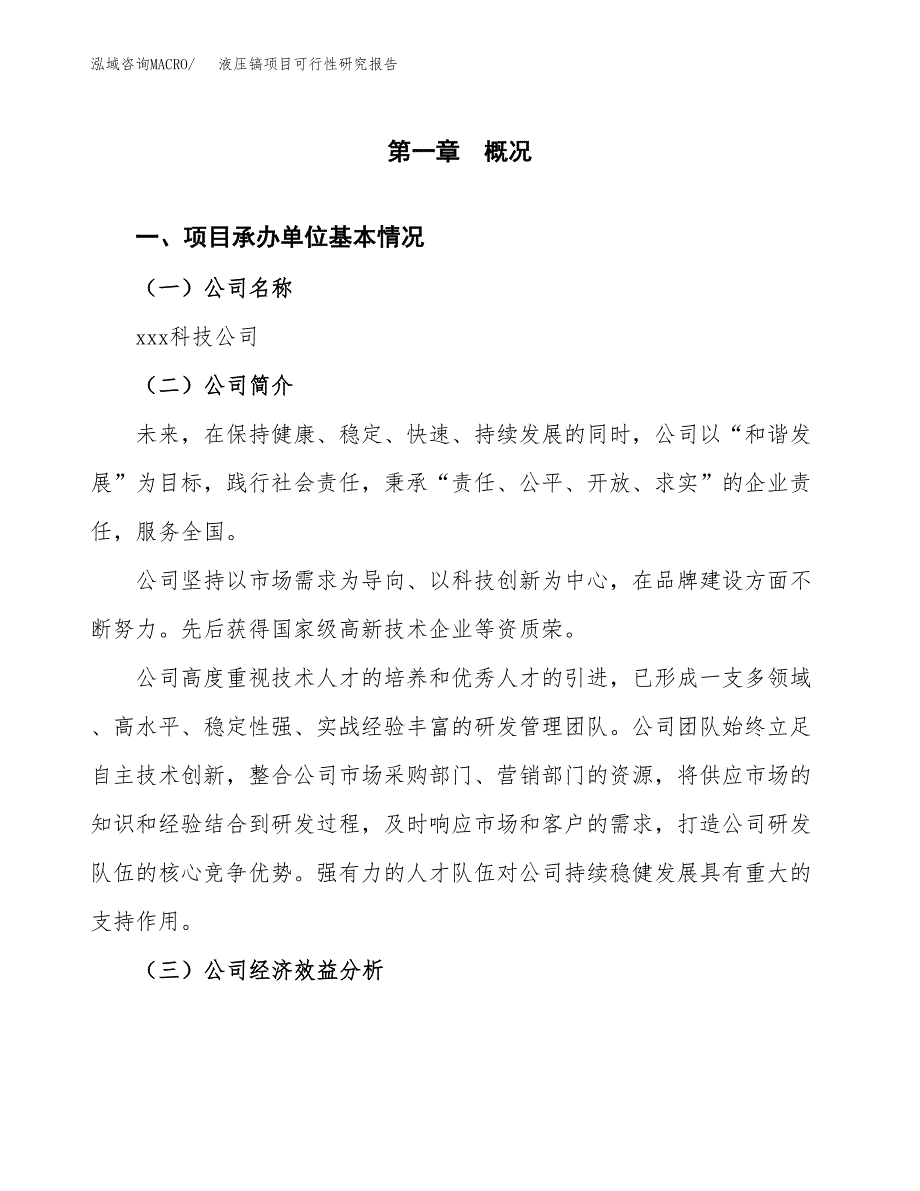 液压镐项目可行性研究报告_范文.docx_第3页