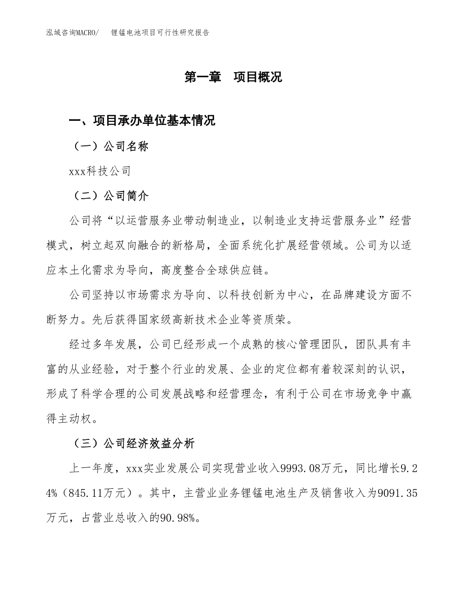 锂锰电池项目可行性研究报告_范文.docx_第3页