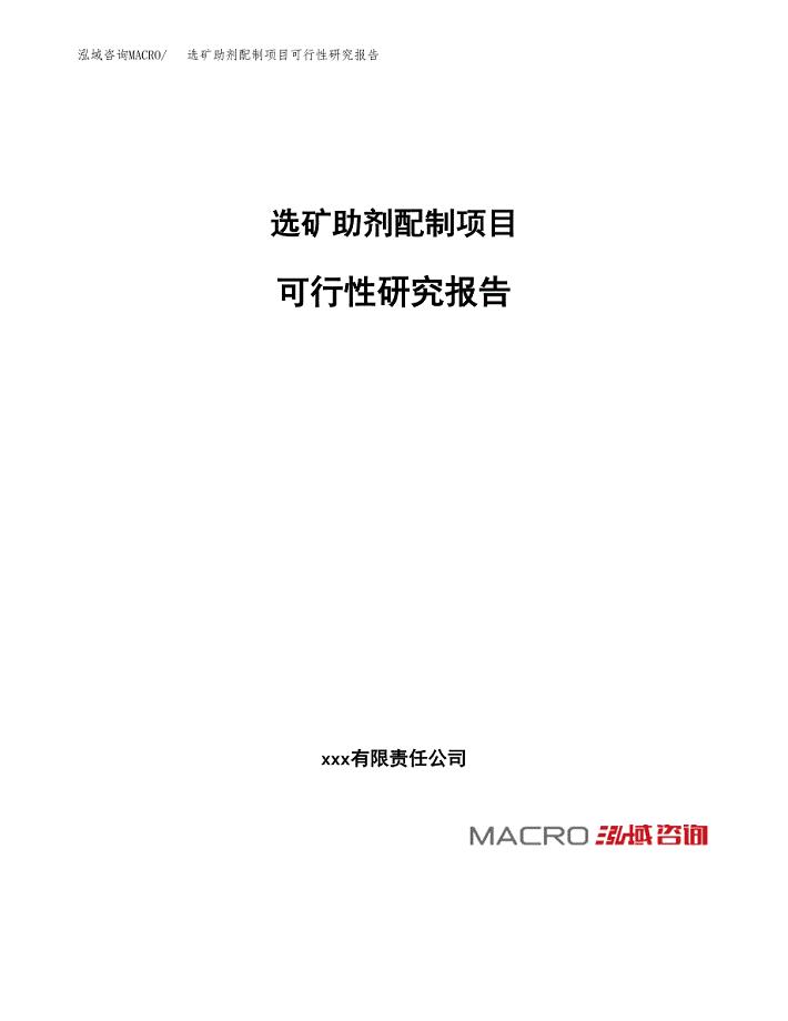 选矿助剂配制项目可行性研究报告_范文.docx