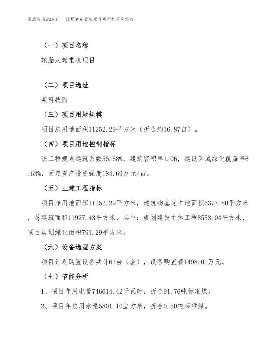 轮胎式起重机项目可行性研究报告_范文.docx_第5页